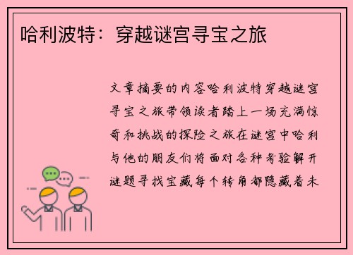 哈利波特：穿越谜宫寻宝之旅